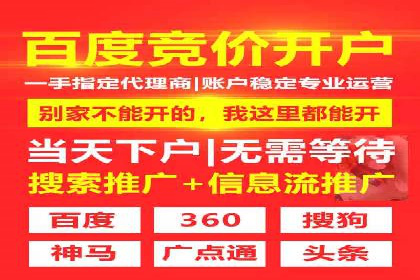 谷歌竞价广告在旅游行业的成功营销案例